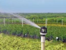 Smooth Drive in use in a nursery.